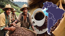 No es Colombia ni Perú: este país de Sudamérica es el mayor productor de café del mundo