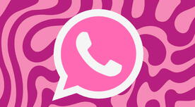 WhatsApp Plus MODA ROSA última versión del APK 17.60 para descargar en Android 2024