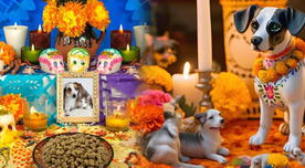 Día de Muertos para MASCOTAS 2024: ¿A qué hora llegan y cómo hacer el altar para recibirlos el 27 de octubre?