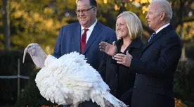 ¿El perdón de un pavo? Conoce de qué trata esta CURIOSA tradición de la celebración de Acción de Gracias