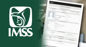 ¿Cómo descargar GRATIS la Constancia de no derechohabiente del IMSS?