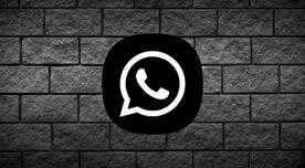 WhatsApp Plus Black y su guía oficial de instalación para descarga APK gratis en Android