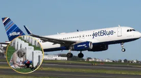 Tragedia en Estados Unidos: Encuentran a dos personas sin vida en avión JetBlue en Florida