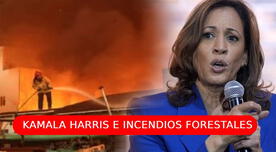 Kamala Harris y la drástica medida por los incendios forestales en Los Ángeles