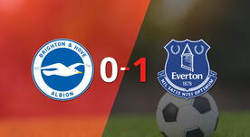 Resumen: Brighton and Hove cayó frente a Everton 1-0 con un gol de penal de Iliman Ndiaye