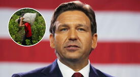 ¿Reemplazarán a los inmigrantes en Florida? Esta POLÉMICA IDEA de Ron DeSantis afecta a trabajadores adolescentes ¿Reemplazarán a los inmigrantes en Florida? Esta POLÉMICA IDEA de Ron DeSantis afecta a trabajadores adolescentes