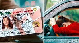 Tras la nueva ley, este es el MILLONARIO monto que gastará un inmigrante al año para renovar la LICENCIA de conducir Tras la nueva ley, este es el MILLONARIO monto que gastará un inmigrante al año para renovar la LICENCIA de conducir