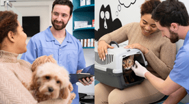 Atención veterinaria gratis en Nueva York: cómo acceder a este servicio en este condado Atención veterinaria gratis en Nueva York: cómo acceder a este servicio en este condado
