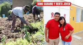 Bono Renta Joven y Bono Agrario 2025: montos, beneficiarios y últimas noticias en Perú Bono Renta Joven y Bono Agrario 2025: montos, beneficiarios y últimas noticias en Perú