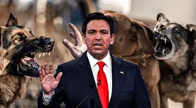 Ron DeSantis firma ley en Florida que regula perros peligrosos sin chip, medidas y sanciones clave Ron DeSantis firma ley en Florida que regula perros peligrosos sin chip, medidas y sanciones clave
