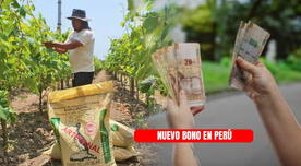 La mejor noticia para las familias peruanas: estas son las 12 regiones que recibirán el NUEVO BONO del Gobierno La mejor noticia para las familias peruanas: estas son las 12 regiones que recibirán el NUEVO BONO del Gobierno