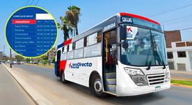 Estas son las rutas y paraderos de los buses AeroDirecto desde diversos puntos de Lima al nuevo aeropuerto