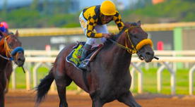 Jockey Fest 2025: El festival que une caballos, música y tradición con ingreso gratuito Jockey Fest 2025: El festival que une caballos, música y tradición con ingreso gratuito