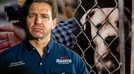 Ya es oficial en Florida la eutanasia a perros con estas conductas: dueños que no los entreguen enfrentan sanciones severas Ya es oficial en Florida la eutanasia a perros con estas conductas: dueños que no los entreguen enfrentan sanciones severas