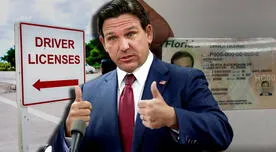 Es oficial para los conductores de Florida: obtener citas para la licencia de conducir será más rápido en esta nueva oficina del DMV Es oficial para los conductores de Florida: obtener citas para la licencia de conducir será más rápido en esta nueva oficina del DMV