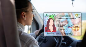 Nueva ley de conducción en Florida entrará en vigor el 1 de agosto: ¿cuáles son los requisitos? Nueva ley de conducción en Florida entrará en vigor el 1 de agosto: ¿cuáles son los requisitos?