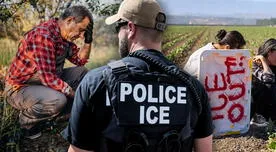 Confirmado: arrestos de inmigrantes se disparan y alcanzan esta drástica cifra en las granjas California Confirmado: arrestos de inmigrantes se disparan y alcanzan esta drástica cifra en las granjas California