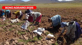 Bono Agrario, julio 2025: hasta cuándo se podrá acceder al monto activo y quiénes son beneficiarios este mes Bono Agrario, julio 2025: hasta cuándo se podrá acceder al monto activo y quiénes son beneficiarios este mes