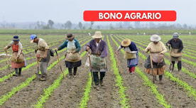 Bono para trabajadores agrarios en Perú: hasta cuándo se extenderá el plazo para cobrar los 1,000 soles Bono para trabajadores agrarios en Perú: hasta cuándo se extenderá el plazo para cobrar los 1,000 soles