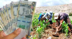 La mejor noticia para trabajadores del sector agrario: este es el importante pago que puedes cobrar en agosto 2025