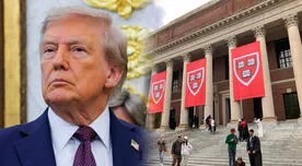 Se confirma pésima noticia para estudiantes inmigrantes: debido a Trump, universidades de EE. UU. enfrentan esta difícil situación Se confirma pésima noticia para estudiantes inmigrantes: debido a Trump, universidades de EE. UU. enfrentan esta difícil situación