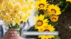 Las mejores frases cortas y bonitas de flores amarillas para este 21 de septiembre