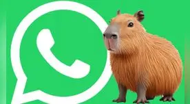 Guía actualizada para activar el verdadero 'MODO CAPIBARA' en WhatsApp totalmente gratis