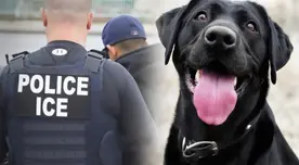 ¡INDIGNANTE! Agentes de ICE asesinaron al perro de una familia en Texas y luego huyeron de la escena ¡INDIGNANTE! Agentes de ICE asesinaron al perro de una familia en Texas y luego huyeron de la escena