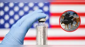 Estados Unidos se prepara: lanzarán vacunas contra la rabia desde el aire en ESTAS ZONAS estratégicas Estados Unidos se prepara: lanzarán vacunas contra la rabia desde el aire en ESTAS ZONAS estratégicas