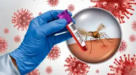 ALERTA inmigrantes: el mosquito del dengue se EXPANDE en Estados Unidos y llega a zonas jamás vistas antes