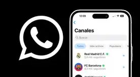 ¿Para qué sirve el Modo Oscuro en WhatsApp y cómo lo activo en mi iPhone?
