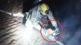 ALERTA en California: Bomberos salvan a nueve perros atrapados en un feroz incendio dentro de una vivienda