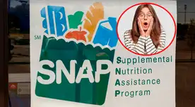 MUCHA ATENCIÓN, beneficiarios de SNAP en EE. UU.: confirman cambios importantes a partir de diciembre y esto debes saber MUCHA ATENCIÓN, beneficiarios de SNAP en EE. UU.: confirman cambios importantes a partir de diciembre y esto debes saber