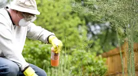 Crece la indignación en EE.UU.: autorizan pesticidas con “químicos eternos” ligados a graves riesgos para la salud