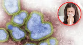 Alerta en Estados Unidos: NUEVA VARIANTE de influenza dispara preocupación por riesgo de contagios