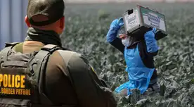 ¡FRUSTRACIÓN en California! Migrantes que trabajan en el campo no reciben atención médica por redadas de Trump