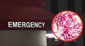 ALARMA sanitaria en Florida: confirman 14 casos de enfermedad del legionario vinculados a un gimnasio