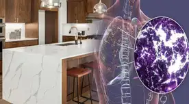 ¡ALERTA! Detectan en Massachusetts caso de enfermedad incurable y mortal: ¿Cuál es la causa? ¡ALERTA! Detectan en Massachusetts caso de enfermedad incurable y mortal: ¿Cuál es la causa?