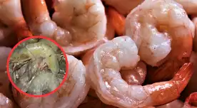 ALERTA consumidores: retiran camarones congelados por posible contaminación en 17 estados de EE. UU.