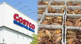 ALERTA de secuestro en Costco: Desaparece envío masivo de langostas valorado en $400,000
