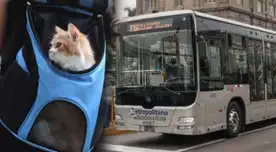 Metropolitano da excelente noticia a usuarios que viajen con sus mascotas en todos los tramos