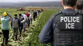 DURO GOLPE para inmigrantes en EE. UU.: deportaciones afectan el campo y dejan sin mano de obra los cultivos