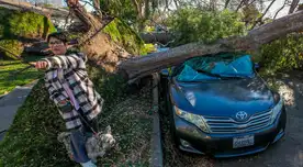 ALERTA en California: fuertes vientos en Santa Ana derriban árboles y causan caos en el sur del estado