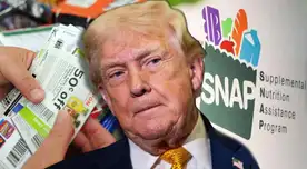 ALARMANTE NOTICIA sobre los beneficios SNAP de este estado clave para la inmigración: Trump pone en peligro sus cupones de alimentos ALARMANTE NOTICIA sobre los beneficios SNAP de este estado clave para la inmigración: Trump pone en peligro sus cupones de alimentos