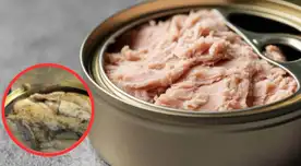 ALERTA sanitaria en Estados Unidos: RETIRAN atún enlatado en nueve estados por riesgo mortal de botulismo ALERTA sanitaria en Estados Unidos: RETIRAN atún enlatado en nueve estados por riesgo mortal de botulismo