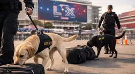 REFUERZO CLAVE en Estados Unidos: equipos caninos antiexplosivos custodian el Super Bowl LX