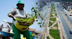 Vecinos de Villa El Salvador celebran instalación de áreas verdes en importante avenida del distrito Vecinos de Villa El Salvador celebran instalación de áreas verdes en importante avenida del distrito