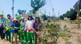 Municipalidad de San Juan de Miraflores renovó espacio en avenida principal: vecinos se beneficiarán con las mejoras Municipalidad de San Juan de Miraflores renovó espacio en avenida principal: vecinos se beneficiarán con las mejoras