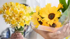 60 frases bonitas y emotivas para acompañar el día de las flores amarillas este sábado 21 de marzo