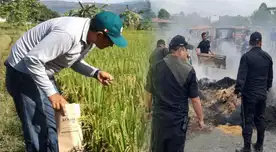 ¿Habrá PARO NACIONAL en Perú? Productores de arroz advierten FUERTES MEDIDAS en 15 días ¿Habrá PARO NACIONAL en Perú? Productores de arroz advierten FUERTES MEDIDAS en 15 días